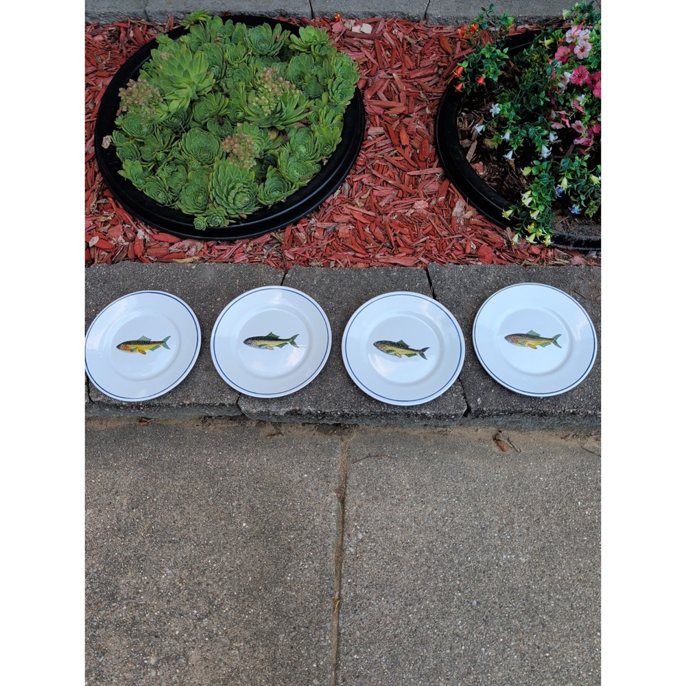VINTAGE: Estrela de Conimbriga in Portugal for Eddie Bauer Ceramic Trout Plates